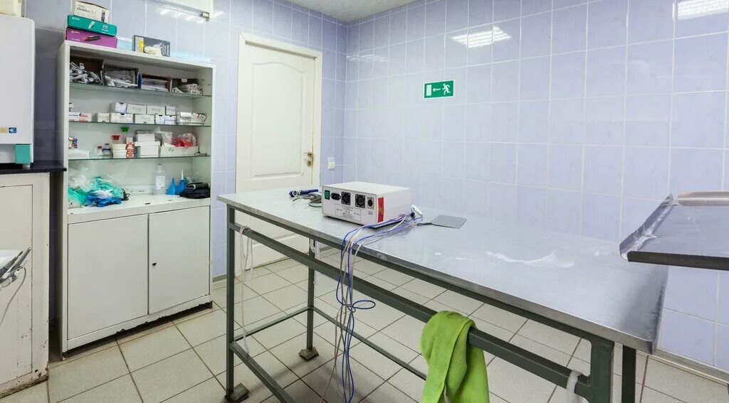 снежный барс ветеринарная клиника. ветклиника снежный барс нижний новгород. клиника снежный барс рязань. ветклиника рязань канищево. снежный барс ветеринарная клиника рязань.