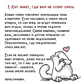 Самый нужный кот