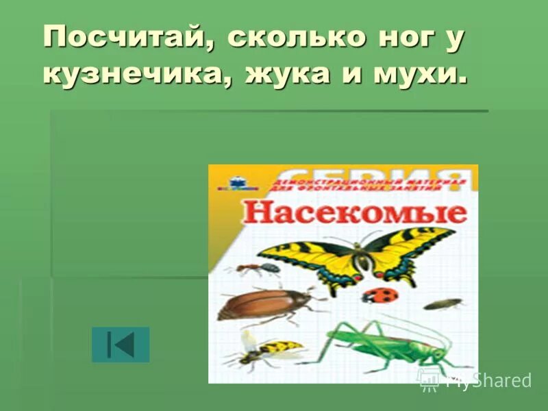 жук плавунец строение ног. сколько пар конечностей у кузнечика. внешнее строение саранчи. строение ноги кузнечика. мантис богомол.
