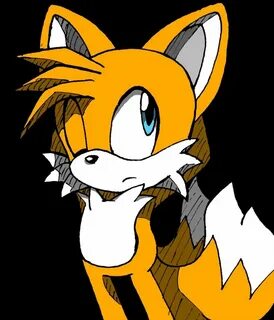 Tails the giant fox