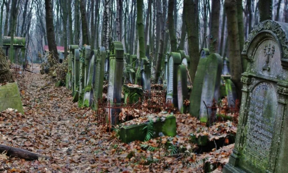 погребения амратская культура. отряд варшавы могильник. отряд варшавы могильник. еврейское кладбище варшавы. отряд варшавы могильник.