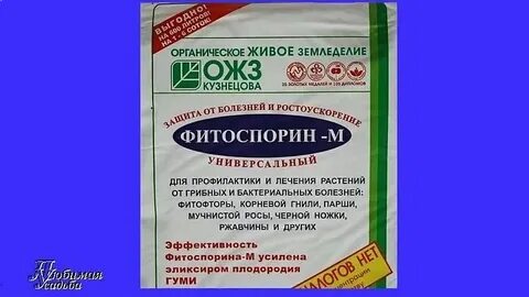 Фитоспорин для земли в теплице осенью