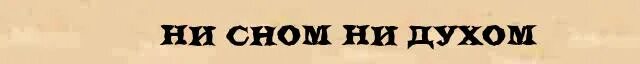 выражение ни сном ни духом. ни слуху ни духу как правильно писать. ни сном ни духом синоним. ни слова ни духа. некем заменить как пишется.