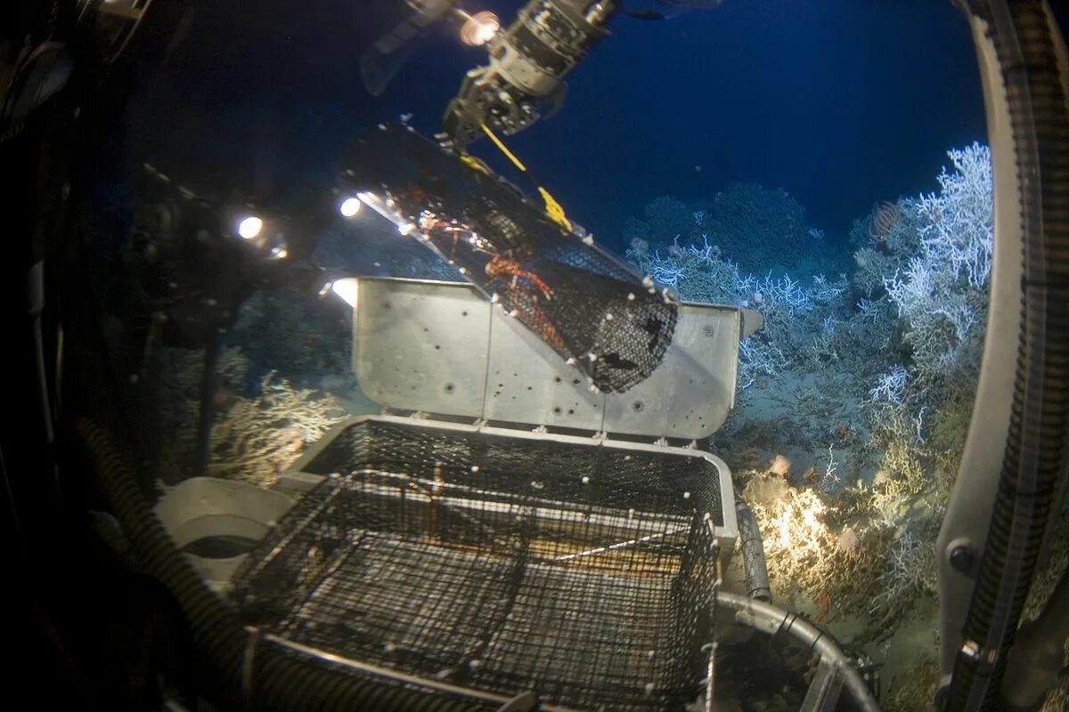 Глубоководные исследования. Исследовательская станция в океане. Глубоководный исследовательский аппарат «Арго». Rift подводный аппарат.