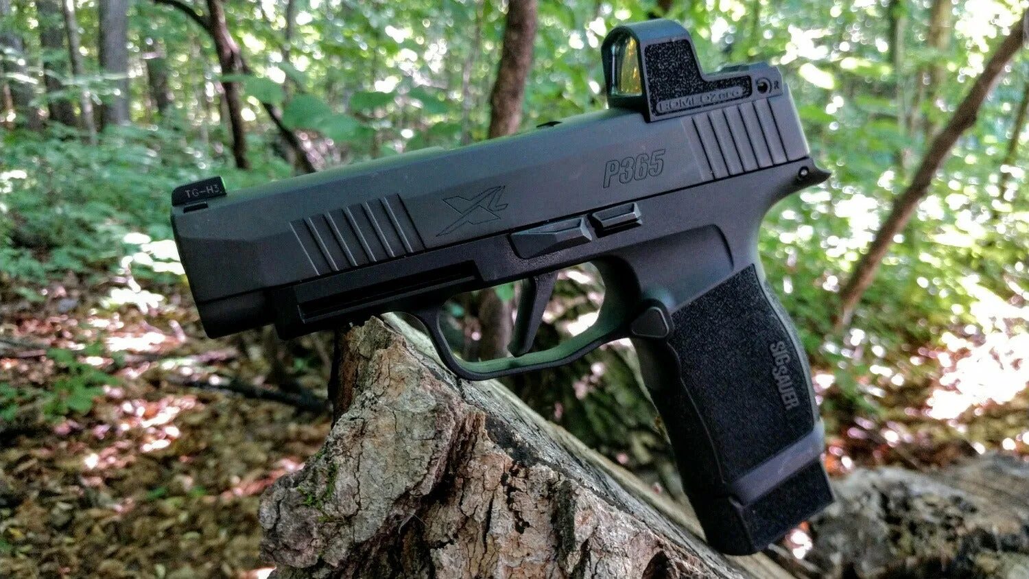 Term sig null. P365 xl. зиг зауэр 365. p-750 sig sauer.