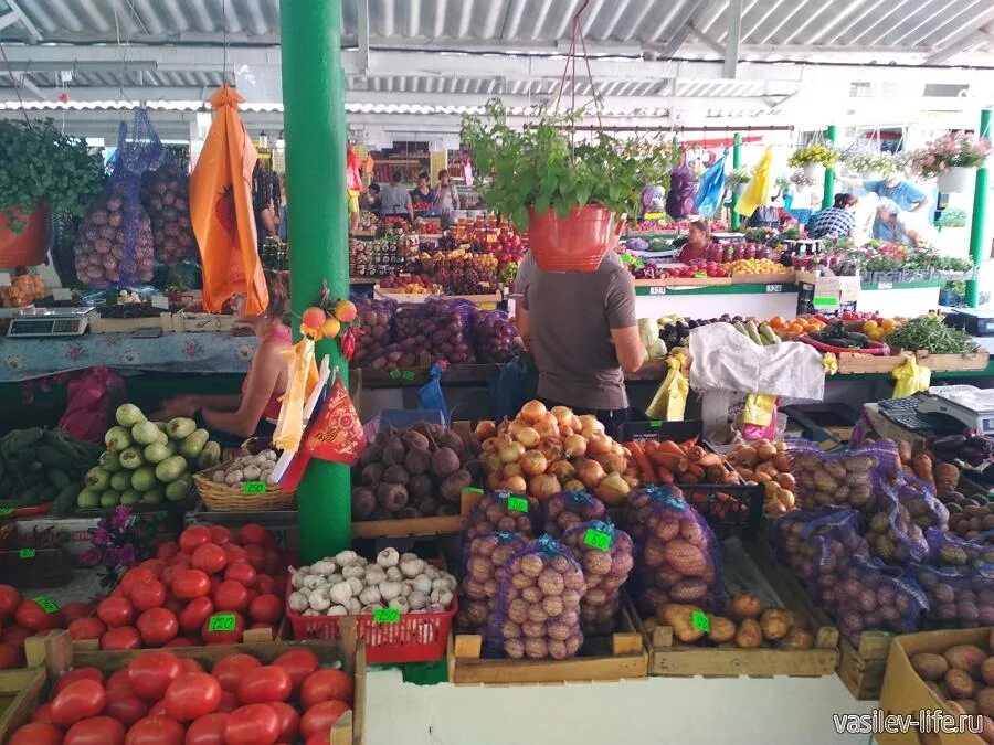 Рынок в судаке. Судак рынок Центральный. Рынок в Судаке Крым. Центральный рынок в Судаке Крым. Рынок в Адыгее.