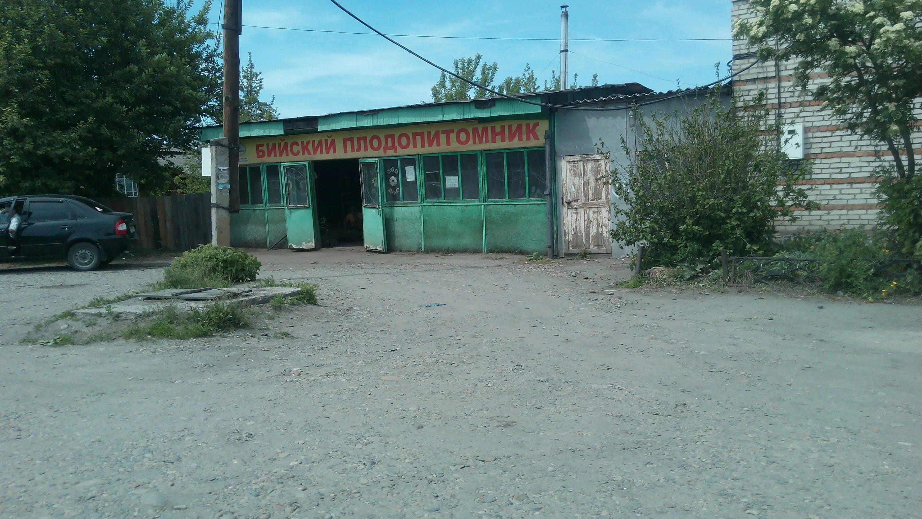 Бийский плодопитомник. Плодопитомник Бийск Луговая 99. Бийск ул Луговая 99а. Г Бийск , улица Луговая 99а. Луговая 113 в Бийске.