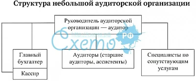 Состав аудиторской организации. Организационная структура аудиторской фирмы. Организационная структура управления аудиторской компании. Структура управления аудиторской фирмы. Орг структура аудиторской фирмы.