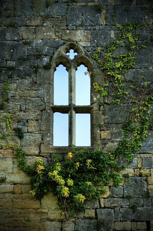 В замках были окна. Окно в замке. Старинные окна. Красивые окна. Окно в старинном замке.