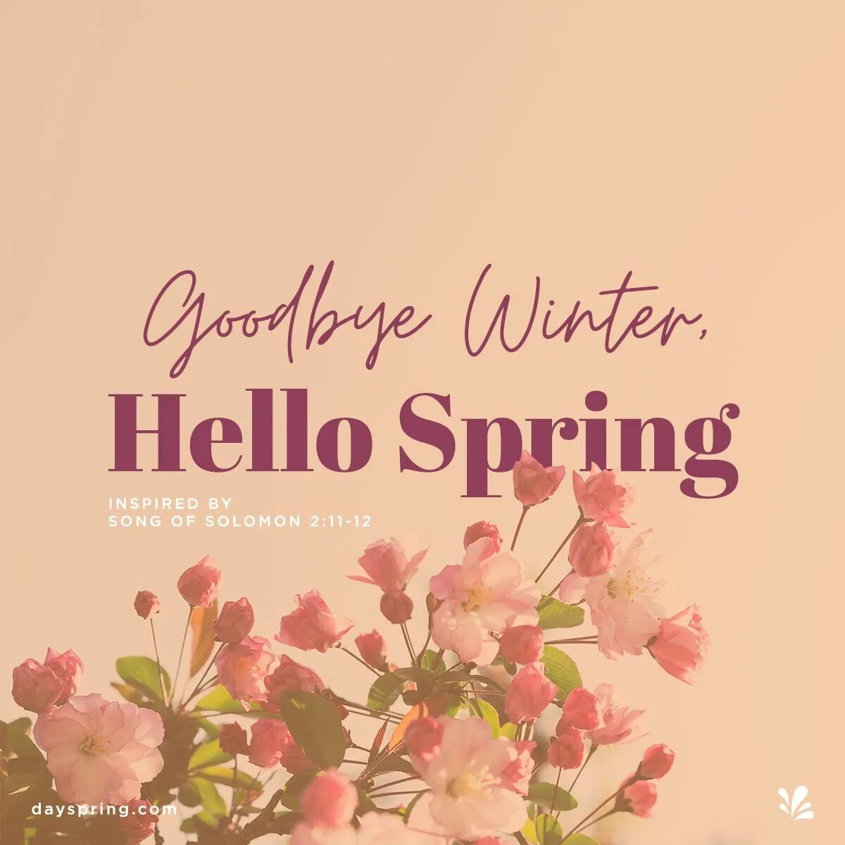 Spring is here goodbye snow. Хеллоу спринг. hello spring стих. hello spring обои на рабочий стол. hello spring пчелки.