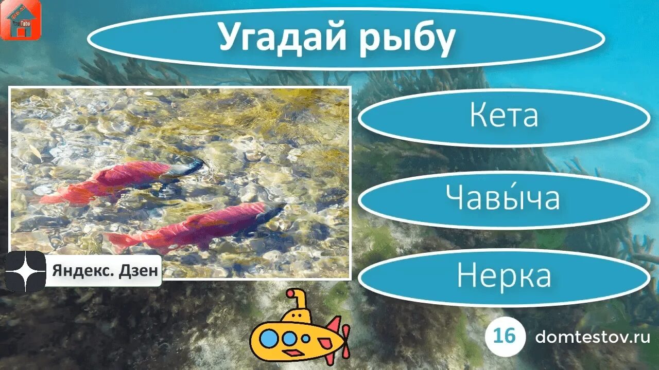 Тест на рыбу. Игра спроси рыбу. игра интернет рф ответы. наши тесты. ответы на игру угадай 5-викторина россия.