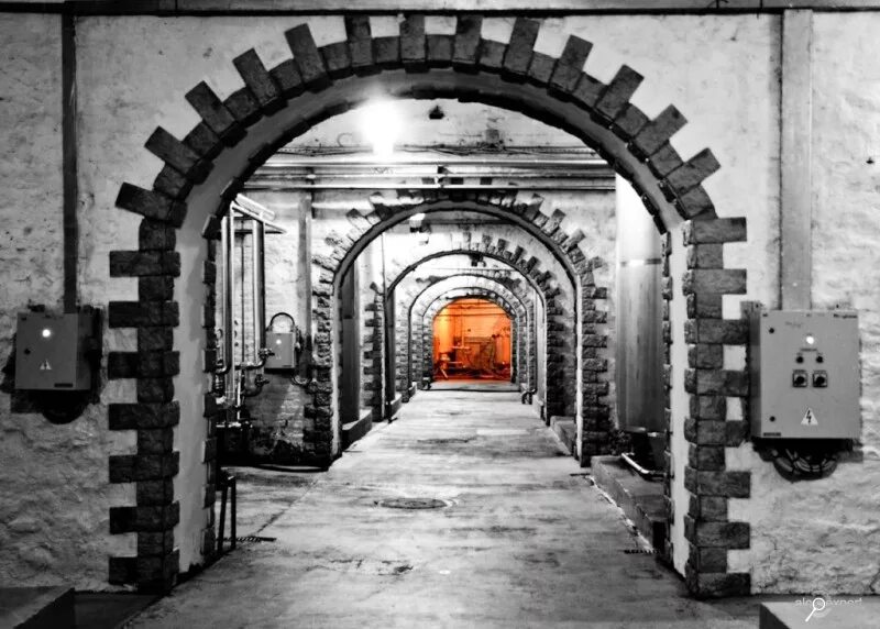 петербург завод шампанских вин. винодельня голицына архивные фото. игристые вина 1876 завод. винная фабрика питер. петербургский завод «игристые вина».