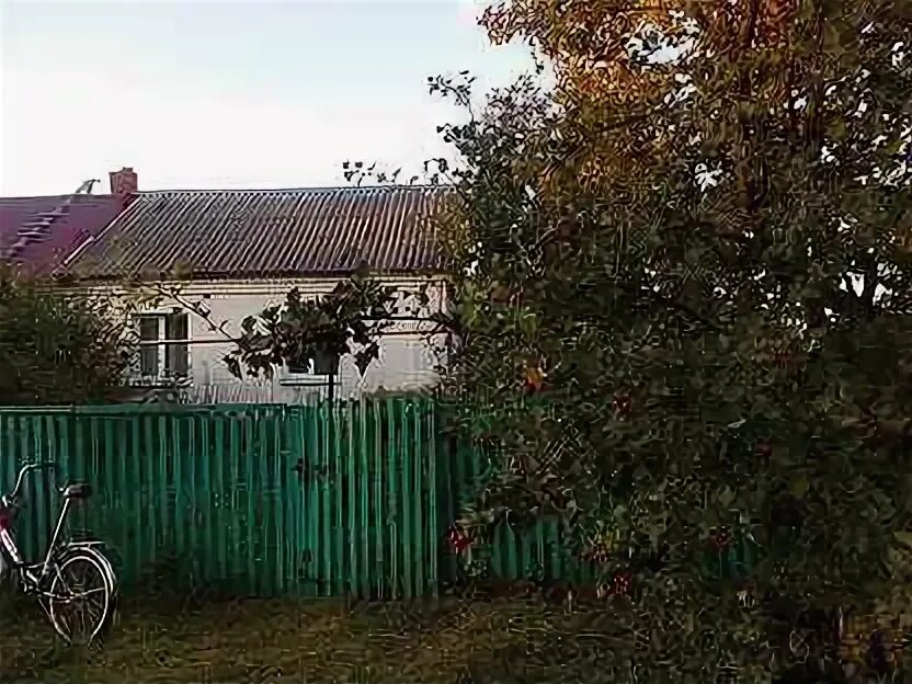 Объявления лев толстой липецкая. Пгт лев толстой липецкая область. Посёлок совхоза имени льва толстого. Лев толстой липецкая область. Объявления лев толстой липецкая.