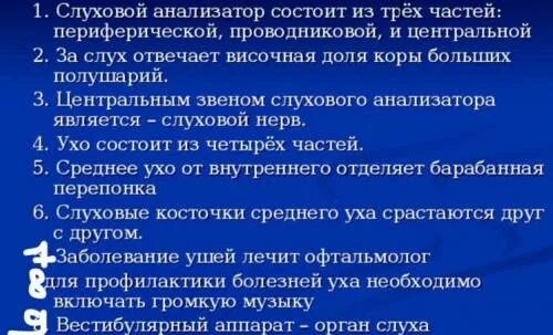 7 вопросов да или нет. 7 вопросов да или нет