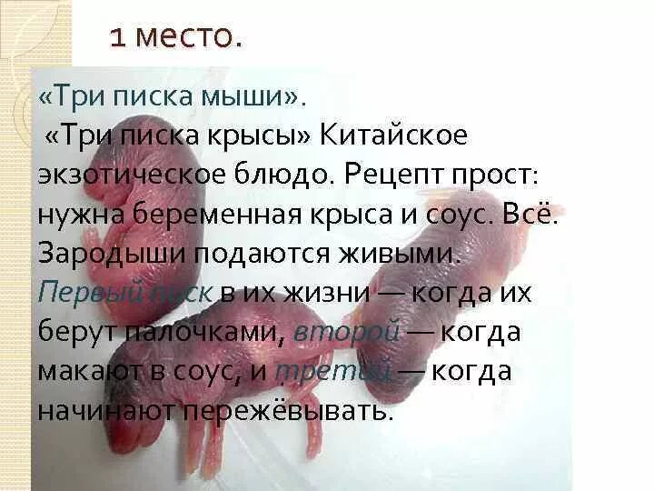 Пробежала и пискнула мышь. Пробежала и пискнула мышь