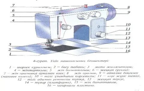 Егде жастағы әйелдердің шешініп жатқан суреттері