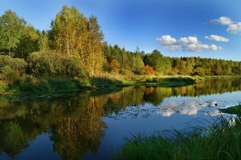 Реки и озера города и села