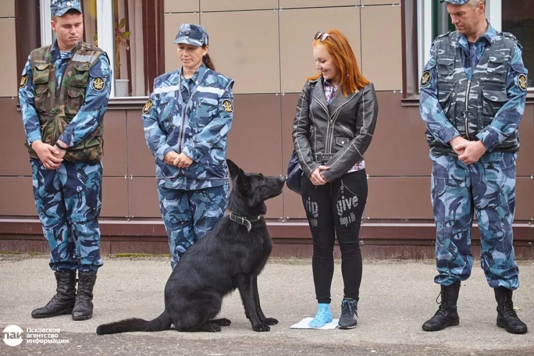 Собак спб вакансии