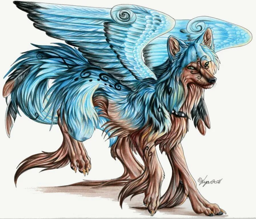 Крылатая собака. Симуран крылатый волк. Симаргл Симуран. Симуран демон. Симуран мифология.