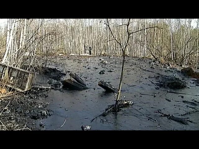 Недавние экологические катастрофы. Экологическая катастрофа в Орле. Экологические катастрофы -экологическое неблагополучие Колесников. Недавние экологические катастрофы в Москве. Экологические катастрофы в россии за последнее время