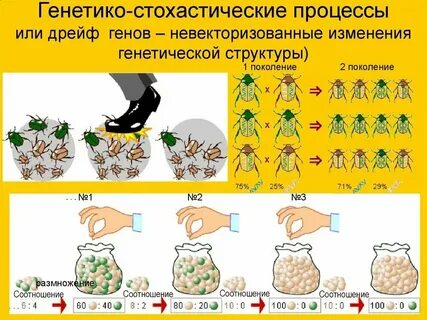 Случайное изменение генов это