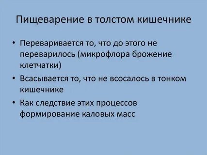 Пищеварение в кишечнике