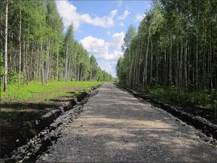 Поселок forest