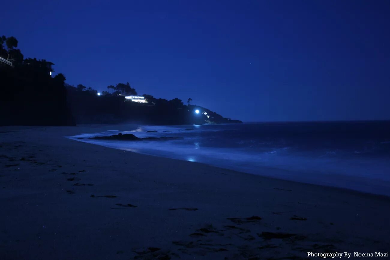 Ночное море. Ночной пляж. Ночь в море. Берег моря ночью. Ночь у берега 80 на русском читать