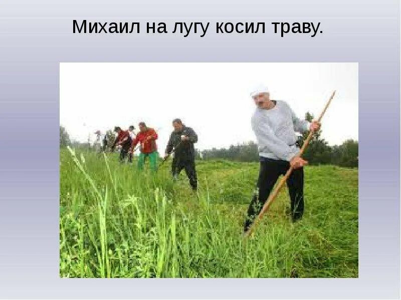 Почему луг начинают косить из центра. Толстой косит траву. правильно скашивать траву на лугу. ... лугу люди косят траву. косить траву игра.