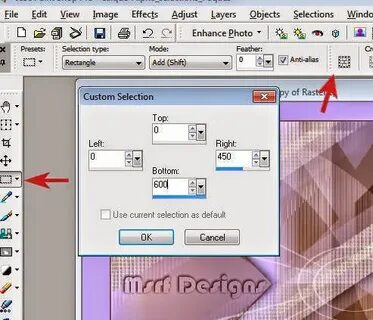 Custom selection box