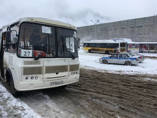 Отследить автобус сыктывкар. Сыктывкарские автобусы. Автобусы Сыктывкар городские. Новые автобусы в Сыктывкаре. Сыктывкарские маршрутки.