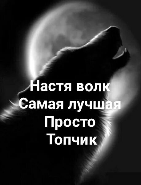 Настя волк пермь. Настя волк пермь. Настя волки. Настя волк москва. Настя волк.