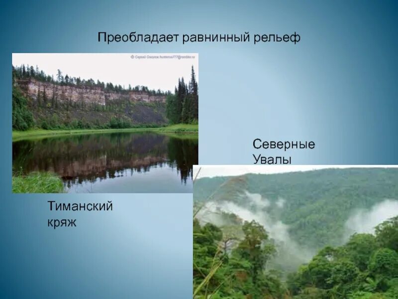 Тиманский кряж форма рельефа. Тиманский кряж рельеф. кряж северные увалы. тиманский кряж это равнина?. тиманский кряж на карте.