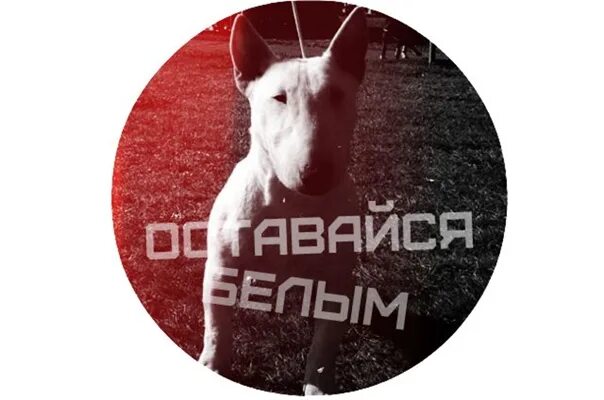Что значит оставайся белым. Оставайся белым. стикеры оставайся белым. оставайся белым формат 18.