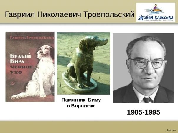 Троепольский портрет писателя. Краткая биография г. Троепольский. Троепольский писатель. Троепольский кратко.