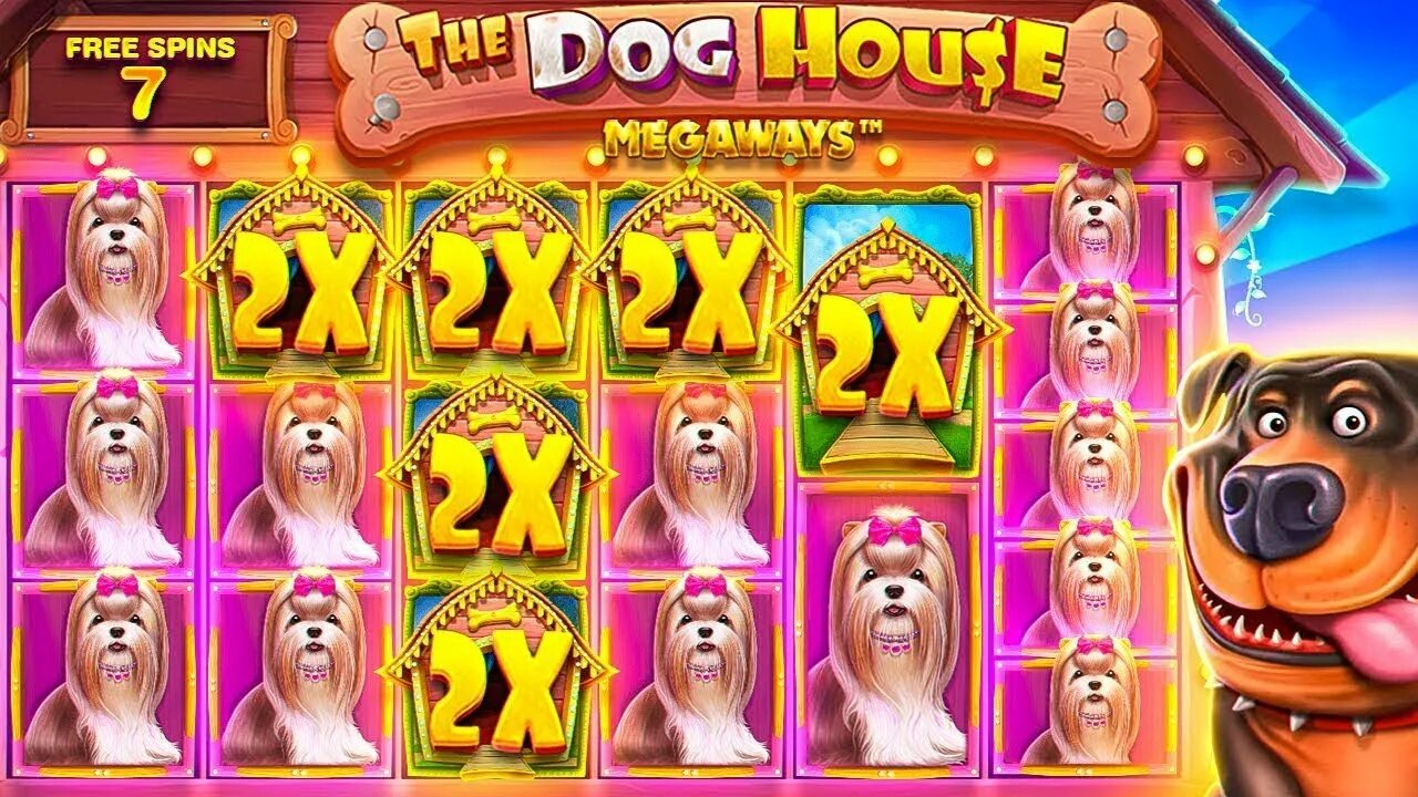 Мега занос в Dog House megaways. Слот собаки. Дог Хаус слот. Занос в the Dog House. Слот дог хаус мегавейс dogs house net