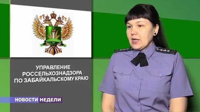 Сайт управление россельхознадзора. Россельхознадзор напоминает. россельхознадзор управление начальник. россельхознадзор форма одежды.