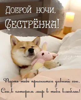 Сестренка спокойной