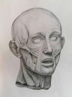 Экорше