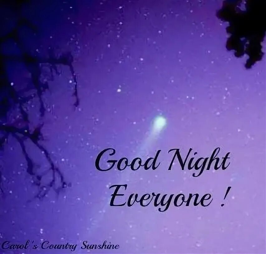 Good night everybody трафарет. Sweet dreams гиф. Good night!. Good night everybody. Good night everyone.