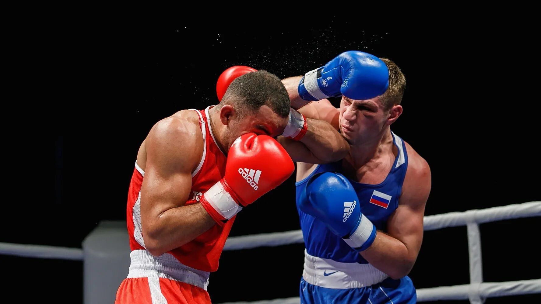 Бокс ханты-мансийск. Чудинов боксер дмитрий. Андрей мишин иркутск бокс. Федерация бокса. Ранги в боксе.