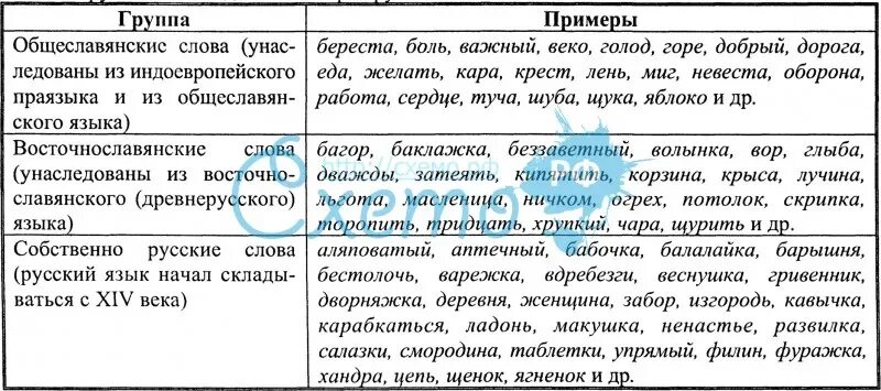 Группы слов по происхождению таблица. Группы слов русского языка таблица. Группы слов в русском языке по происхождению. Лексика тематические группы слов таблица. Группы слов по употреблению