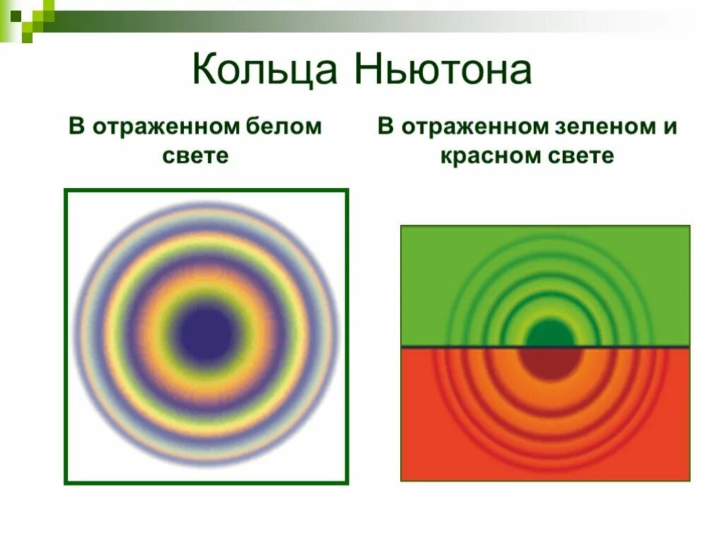 Колец Ньютона в отражённом белом свете. Интерференционная картина кольца Ньютона. Кольца Ньютона интерференция света. Наблюдение интерференции света. Кольца Ньютона.. Пятно ньютона