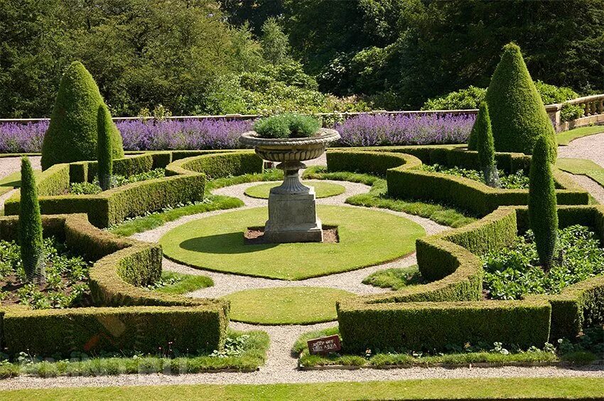 живая изгородь французский парк палисад версаль. пьер жесткофф ландшафтный архитектор парки. французский ландшафтный стиль. боскеты версаля. французский сад дроттнингхольм.