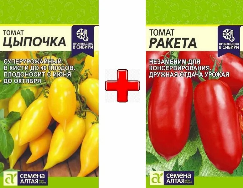 Томат цыпочки характеристика и описание