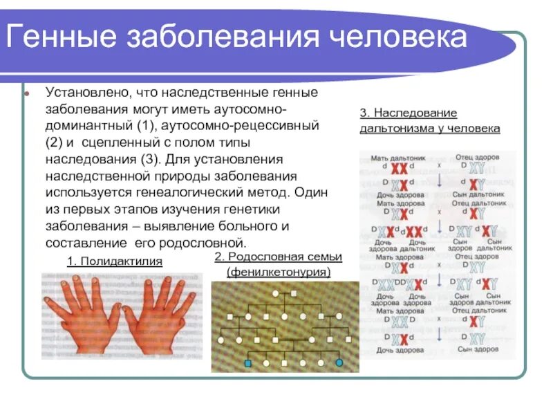 Генные и хромосомные заболевания. Генетические заболевания человека таблица с типами. Генные наследственные болезни. Заболевания вызванные генными мутациями. Наследственные заболевания названия.