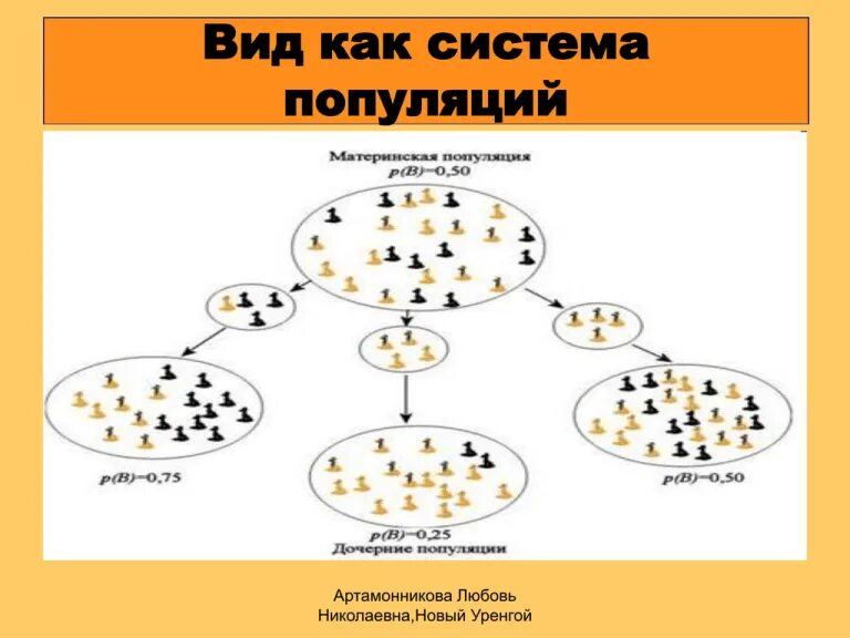 Панмиктическая популяция. Вид как система популяций. Типы популяций. Виды популяции в биологии. Популяция виды популяций.