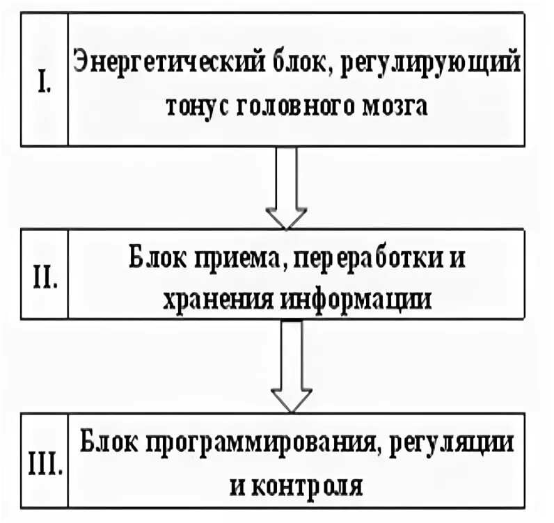 Функции 3 блока. Лурия 3 функциональных блока мозга. взаимодействие трех основных функциональных блоков мозга лурия. взаимодействие трёхосновных функциональных блокоы мозга. блоки мозга по лурия 1 блок.