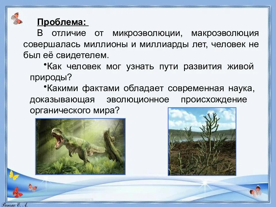 Какое значение для эволюции имеет. Доказательства эволюции органического мира презентация. макроэволюция органического мира. доказательства эволюции органического мира конспект. биология 11 класс доказательства эволюции органического мира.