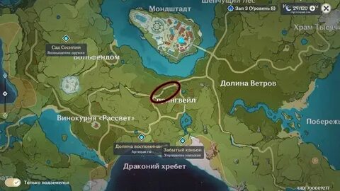 Где нашли рис